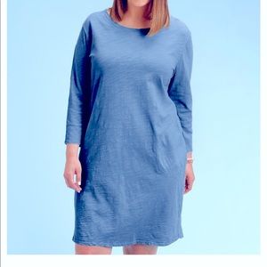 Fresh Produce Clothing Simple Shift Dress, 1X